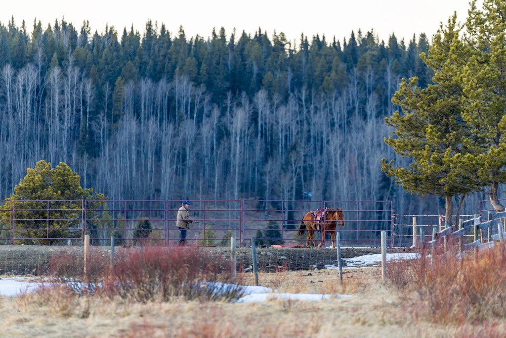 Moose Bottom Cottage | 282151 Range Road 55 Unit A, AB T4C 1B2, Canada | Phone: (587) 432-4470