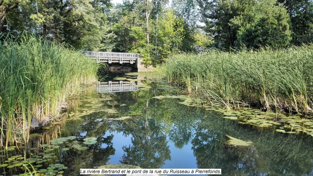 Bois-de-Liesse Nature Park | 9432 Boul Gouin O, Pierrefonds, QC H8Y 1T4, Canada | Phone: (514) 280-6729