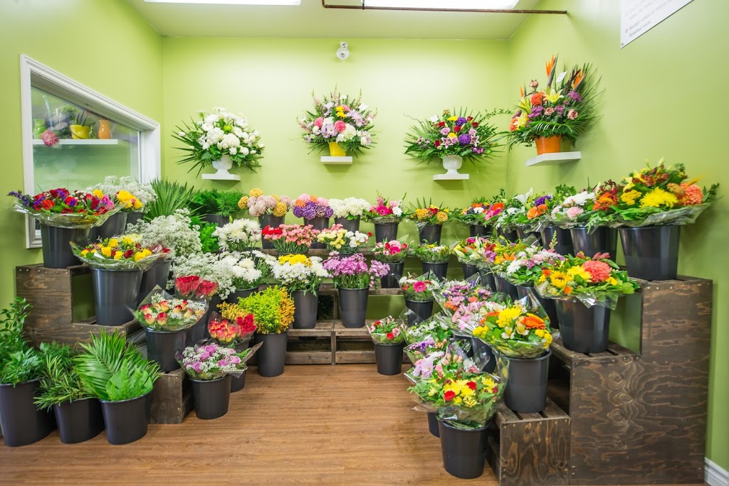 Forest of Flowers | 2400 Dundas St W #3, Mississauga, ON L5K 2R8, Canada | Phone: (905) 916-2424