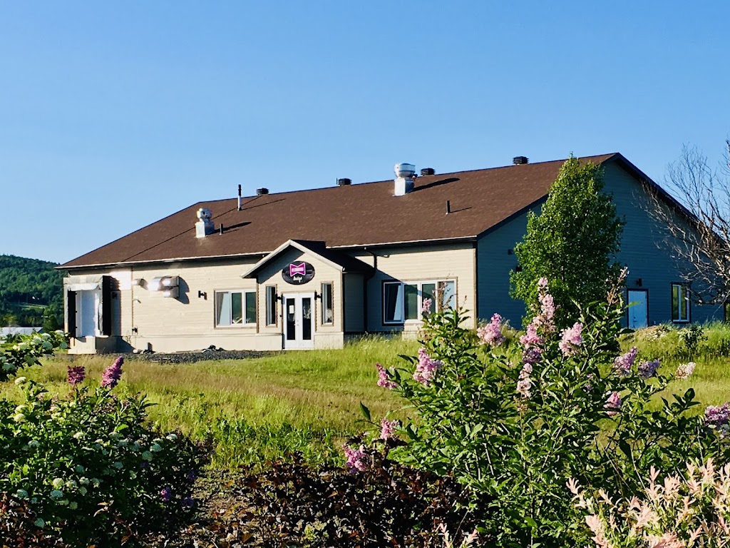 Les Canardises (Ferme) | 5170 Av. Royale, Saint-Ferréol-les-Neiges, QC G0A 3R0, Canada | Phone: (418) 826-2112