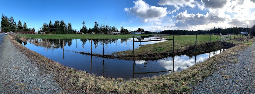 Hillier Water Gardens | 985 Howard Rd, Qualicum Beach, BC V9K 1W4, Canada | Phone: (250) 752-6109