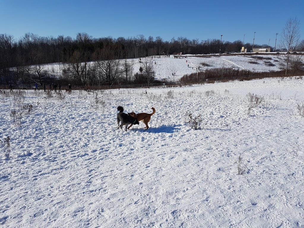 Bechtel Dog Park | 59 Bridge St W, Kitchener, ON N2K 1K6, Canada | Phone: (519) 576-2420