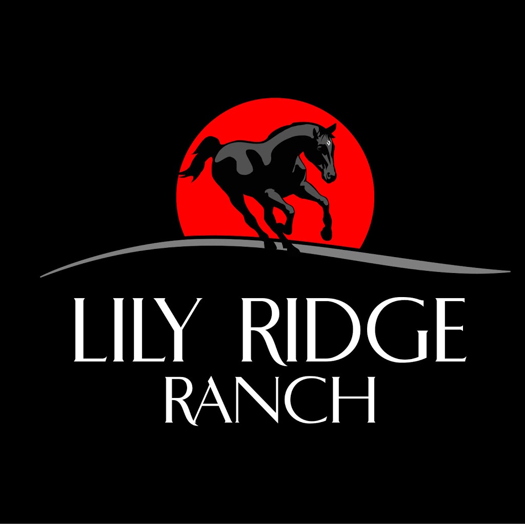Lily Ridge Ranch | Box 687, Grunthal, MB R0A 0R0, Canada | Phone: (204) 951-4088