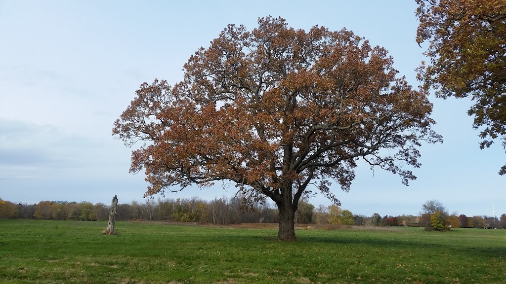 Paradise Grove Park | Unnamed Road, Niagara-on-the-Lake, ON L0S 1J0, Canada