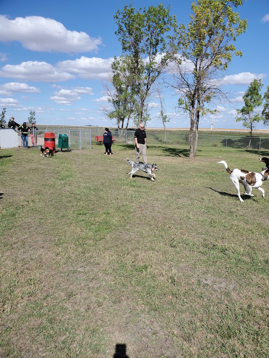 The Bark Park | Rosetown, SK S0L 2V0, Canada | Phone: (306) 882-2214