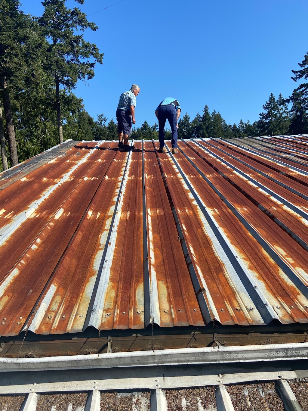 Lifecycle Roofing | 1400 Lynburne Pl, Victoria, BC V9B 0A4, Canada | Phone: (778) 678-8566