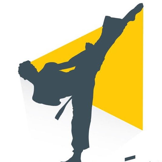 Karate Sports Vaudreuil | 17 Boulevard de la Cité-des-Jeunes #110, Vaudreuil-Dorion, QC J7V 0N3, Canada | Phone: (514) 892-2515
