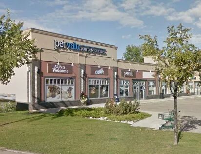 Pet Valu | 140 St Albert Trail, St. Albert, AB T8N 7C8, Canada | Phone: (780) 459-1166