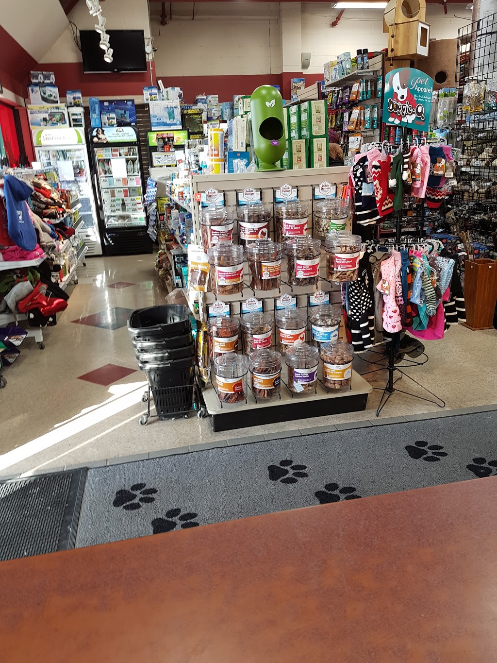 Global Pet Foods | 443 The Queensway S, Keswick, ON L4P 3J4, Canada | Phone: (905) 476-0575