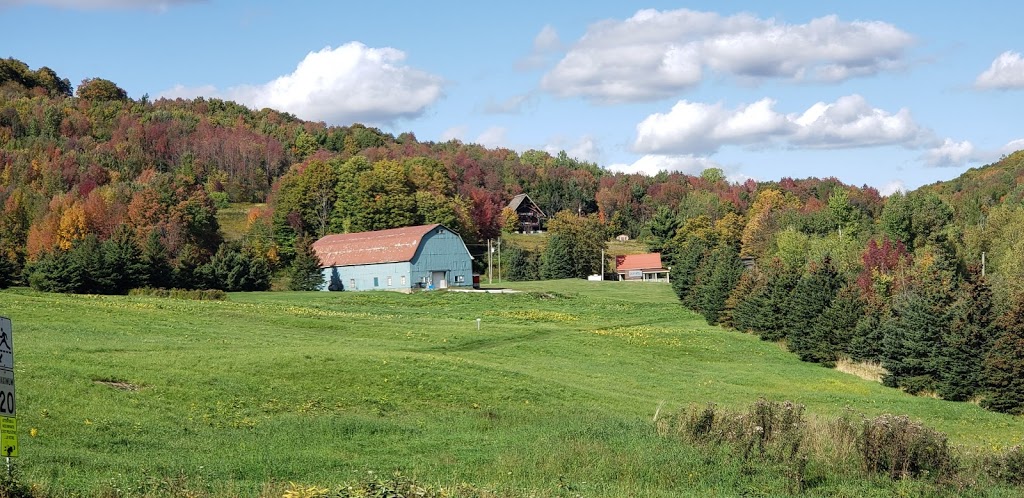 Domaine naturel du lac Gale | 201 Chemin du Lac Gale, Bromont, QC J2L 2S5, Canada | Phone: (450) 534-4414