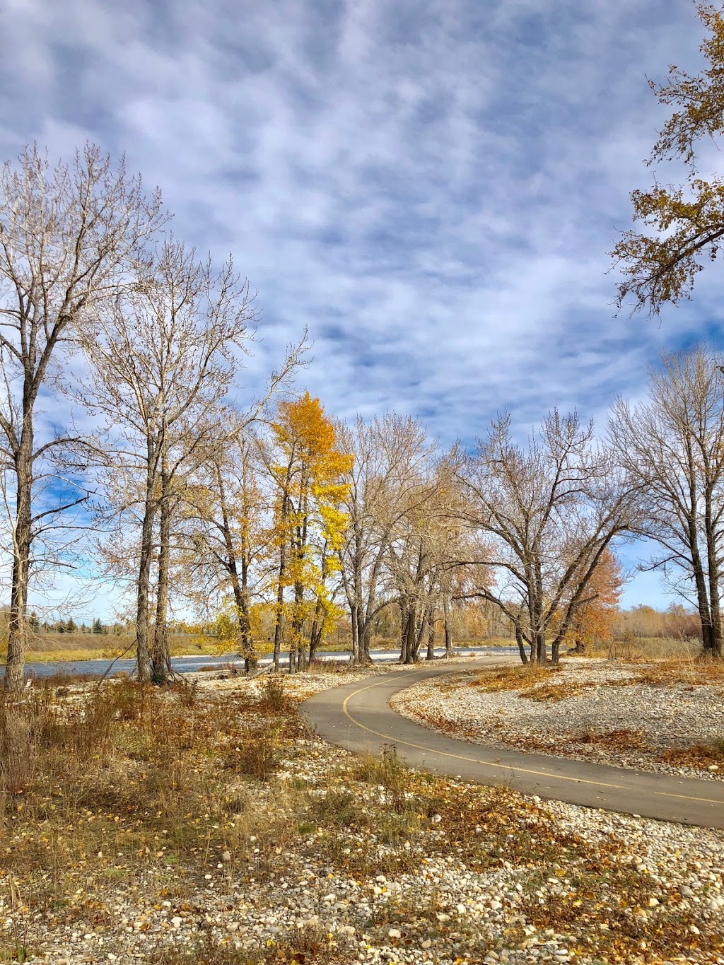 Bankside - Fish Creek Provincial Park | Southeast Calgary, Calgary, AB T2J 6R1, Canada