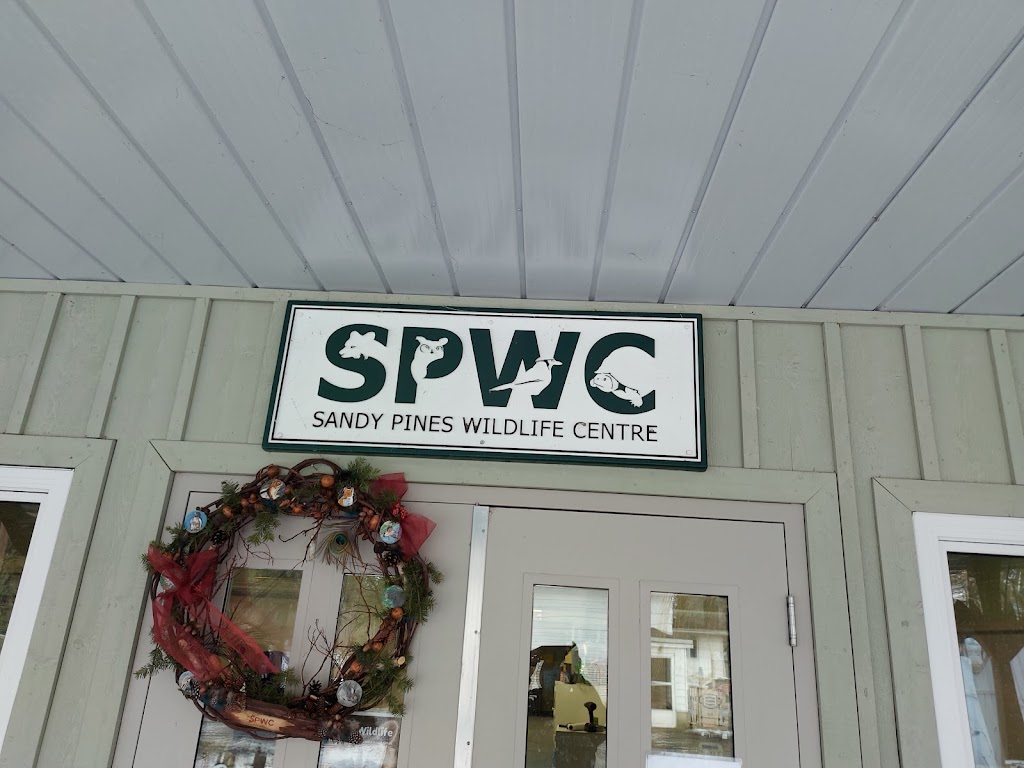 Sandy Pines Wildlife Centre | 8749 2, Napanee, ON K7R 3L1, Canada | Phone: (613) 354-0264