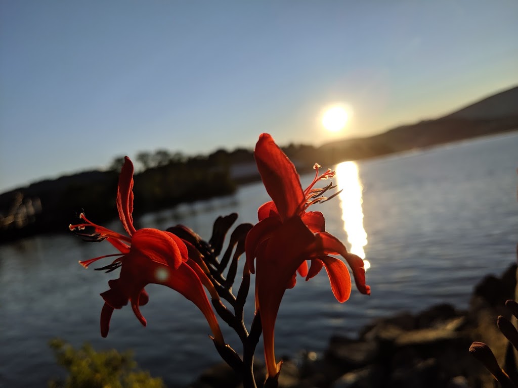 Inlet Rowing Club | 2715 Esplanade Ave, Port Moody, BC V3H 3P4, Canada | Phone: (604) 961-7323