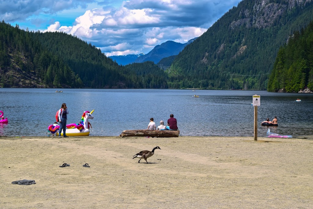 Buntzen Lake Dog Park | Anmore, BC V3H, Canada