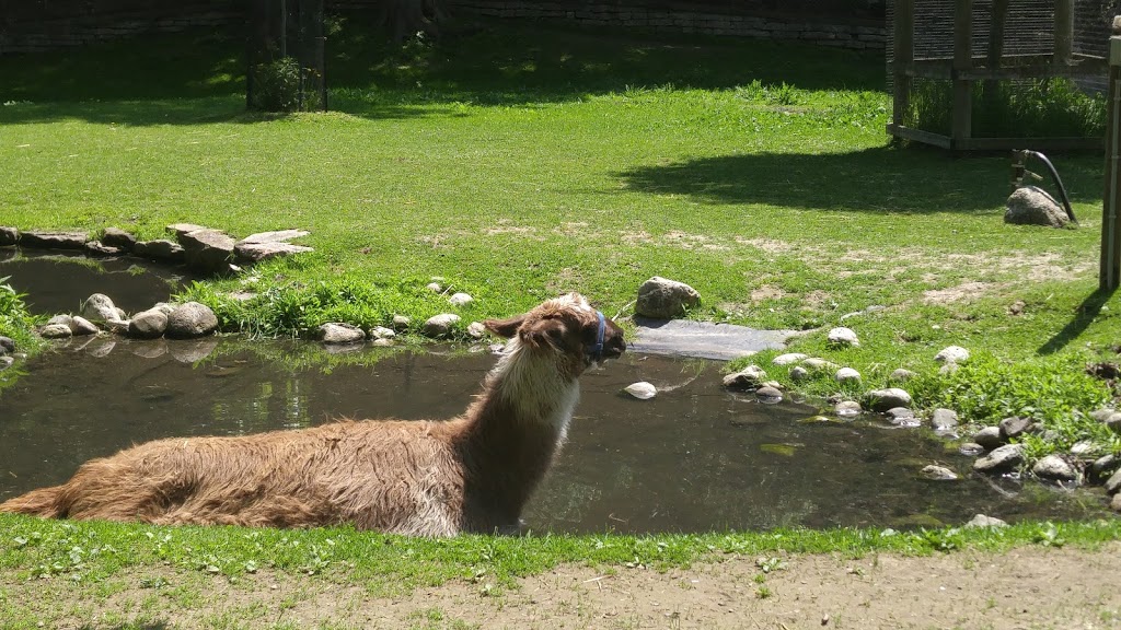 High Park Zoo | Toronto, ON M6R, Canada | Phone: (416) 338-4386