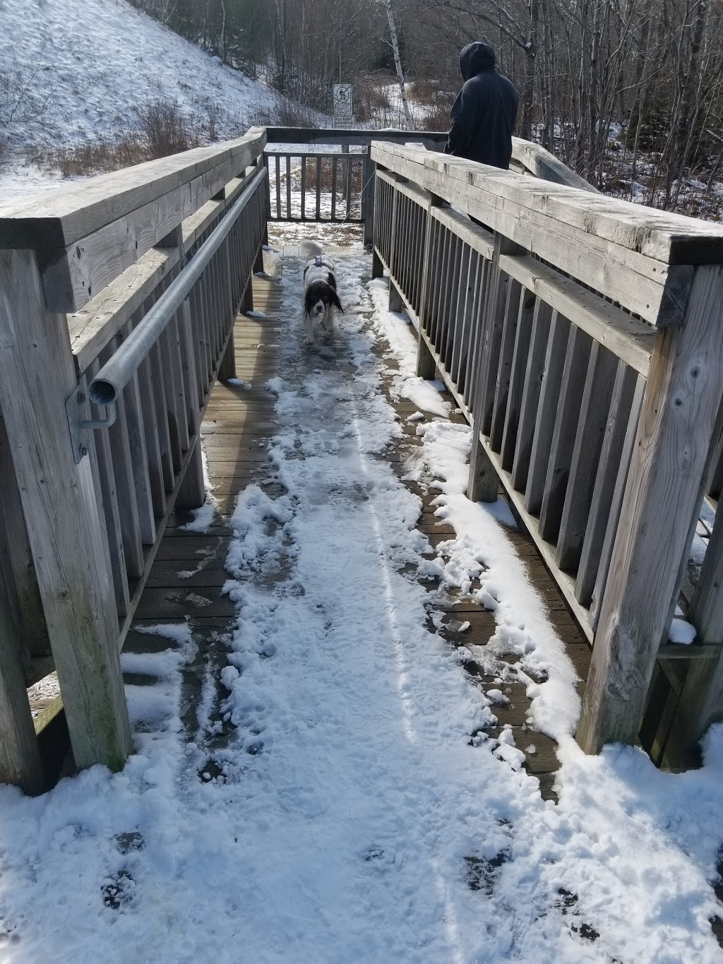 Shubie Trail Head | Shubie Canal Greenway Corridor, Waverley, NS B2R, Canada