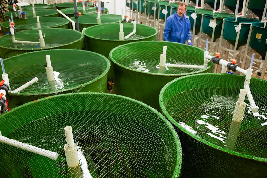 Center for Aquaculture Technologies (CAT) - Souris | 20 Hope Street, Souris, PE C0A 2B0, Canada | Phone: (902) 687-1245