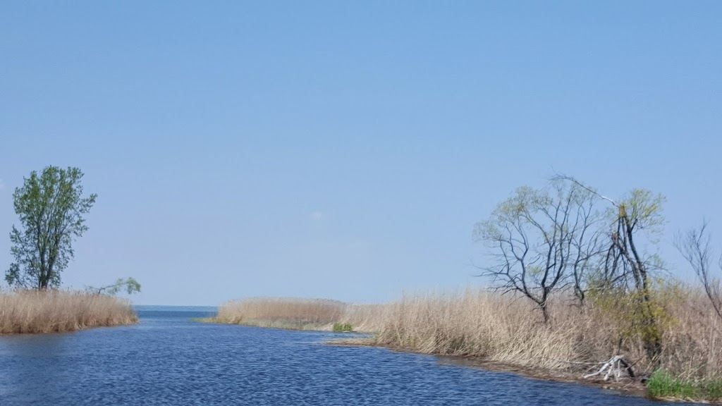 Long Point Birding Trail 6 (Crown Marsh) | Erie Blvd, Port Rowan, ON N0E 1M0, Canada