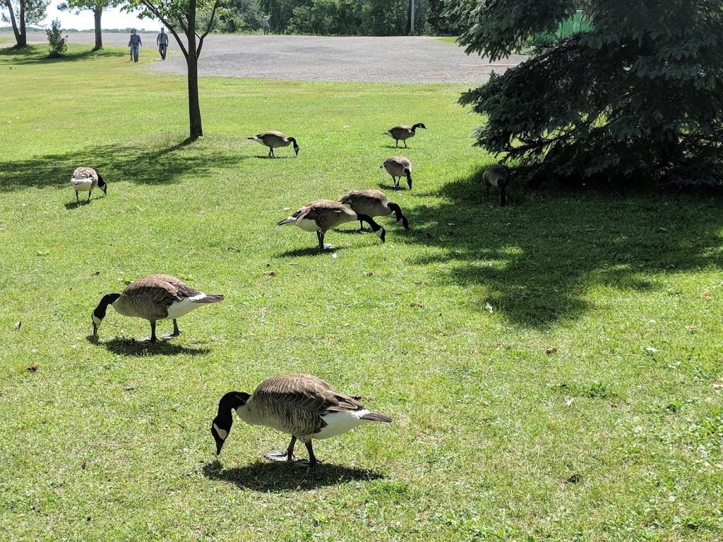 Rapids Park | Boulevard LaSalle, Montréal, QC H8P 1X6, Canada | Phone: (514) 367-1000