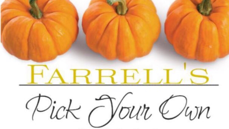 Farrells Pick Your Own | 1347 Concession 12, Ripley, ON N0G 2R0, Canada | Phone: (705) 879-5552