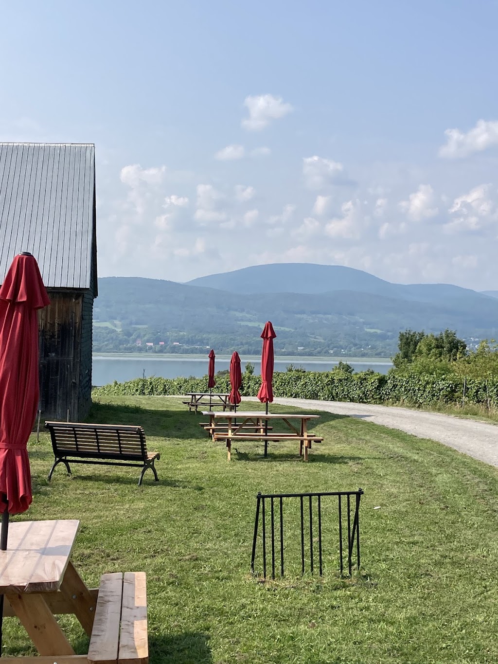 Le Vignoble du Mitan | 2608 Chem. Royal, Sainte-Famille, QC G0A 3P0, Canada | Phone: (418) 829-0901