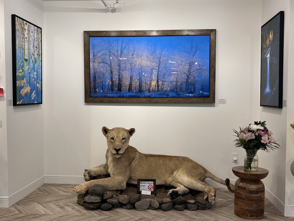 JY Gallery & Cafe | 160 Kananaskis Way, Canmore, AB T1W 3E2, Canada | Phone: (403) 675-5428