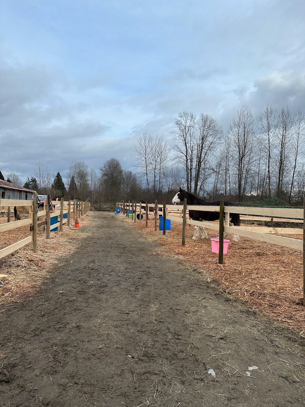 Coquitlam Equestrian Centre | 500 Lincoln Ave, Port Coquitlam, BC V3E 3H8, Canada | Phone: (778) 877-5150