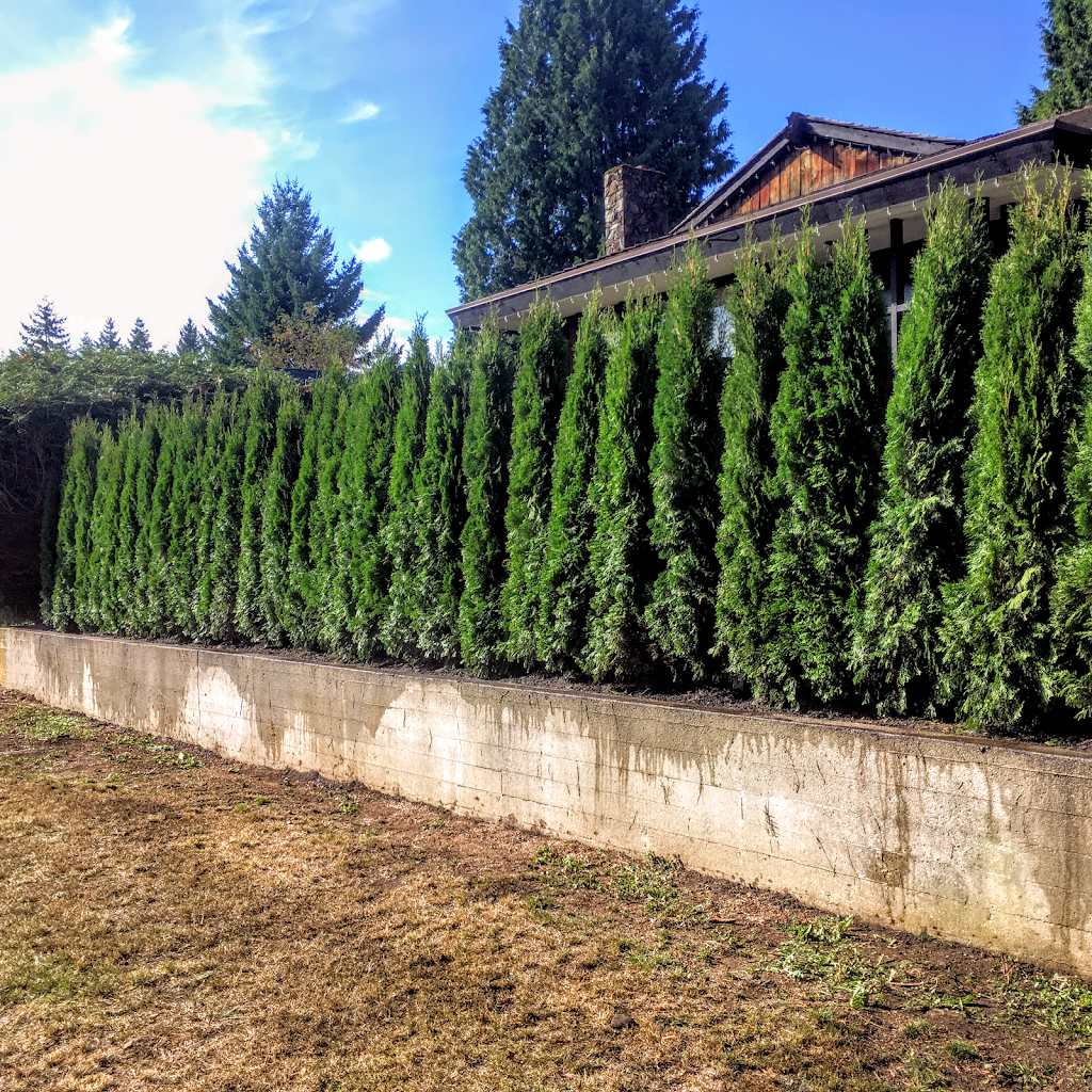 Beacon Landscaping | 3137 Beacon Dr, Coquitlam, BC V3C 3W7, Canada | Phone: (604) 366-1102