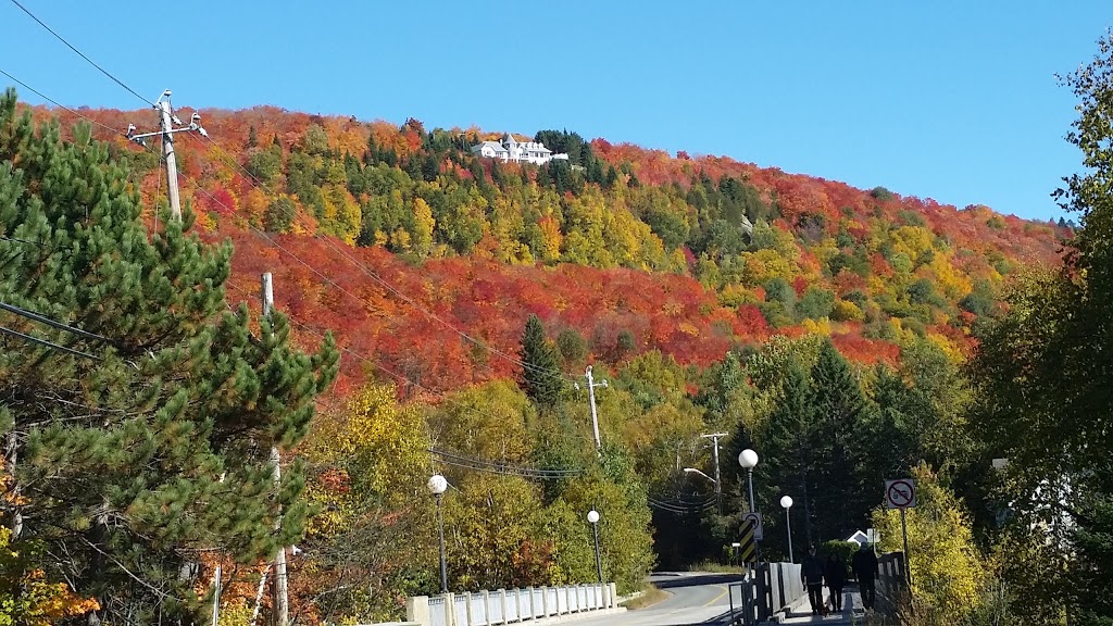 Construction Georges Desrocher | 2 Chemin de la Croix, Saint-Donat-de-Montcalm, QC J0T 2C0, Canada | Phone: (819) 424-3259