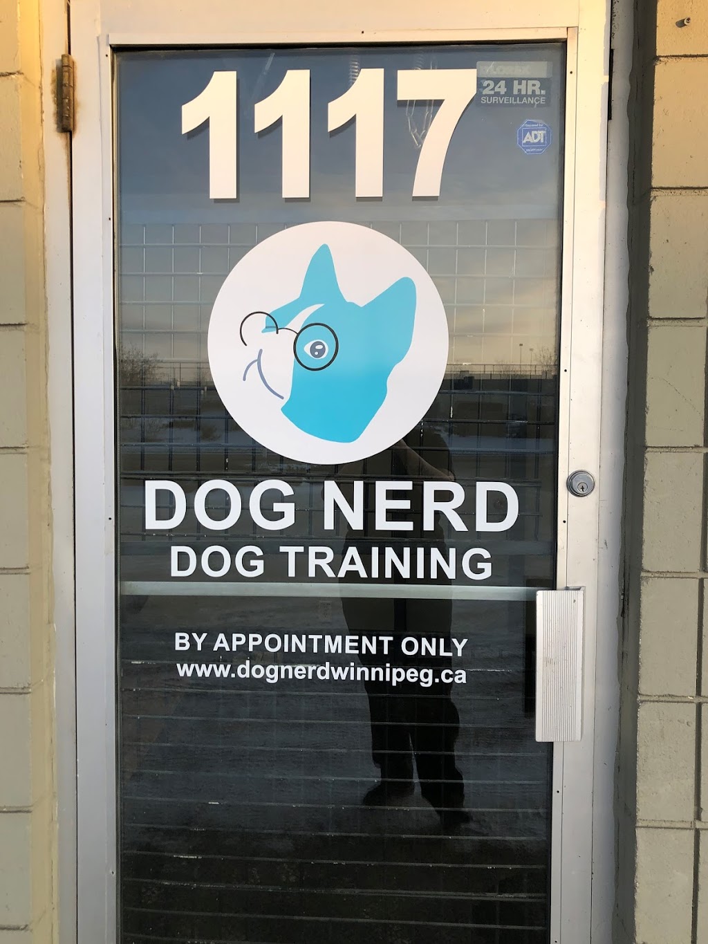 Dog Nerd | 1117 Empress St, Winnipeg, MB R3E 3H1, Canada | Phone: (204) 589-3026