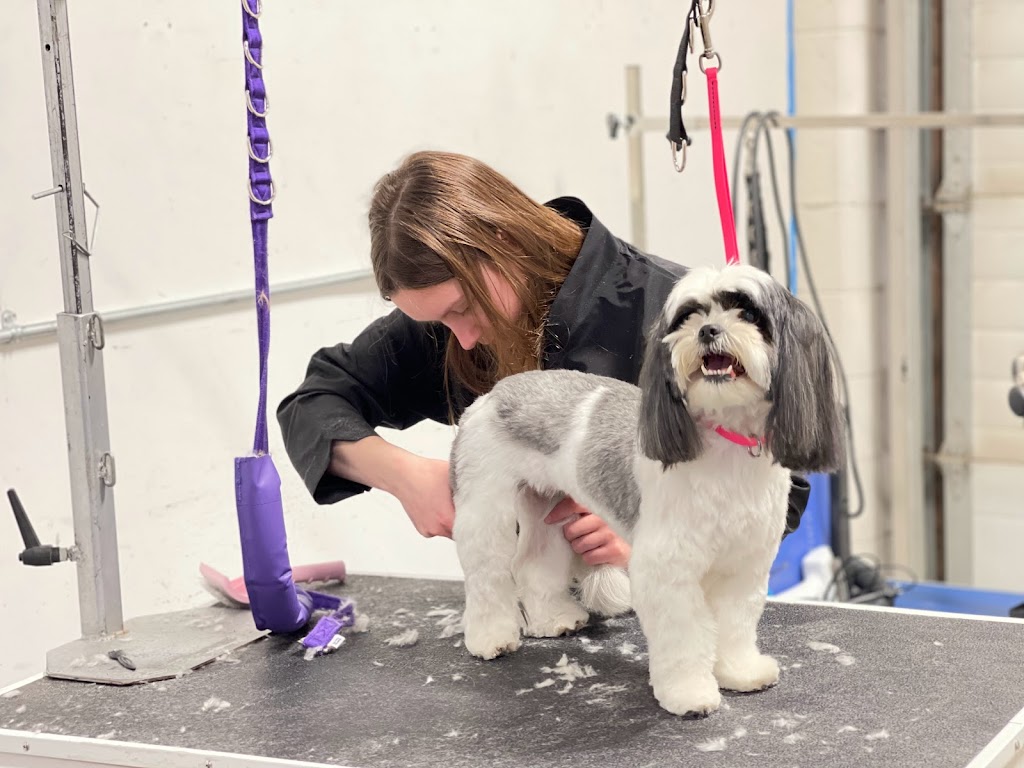 Prestige Dog Grooming School | 500 Royal Oak Dr NW, Calgary, AB T3G 0E8, Canada | Phone: (403) 396-1769