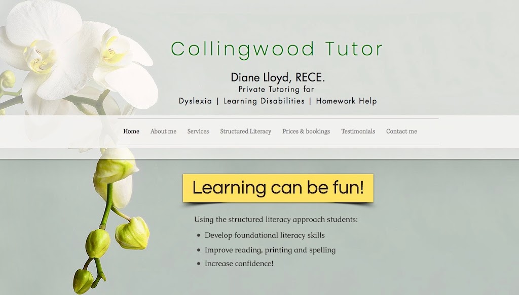 Collingwood Tutor | 20 Lynden St, Collingwood, ON L9Y 0C4, Canada | Phone: (705) 220-8436