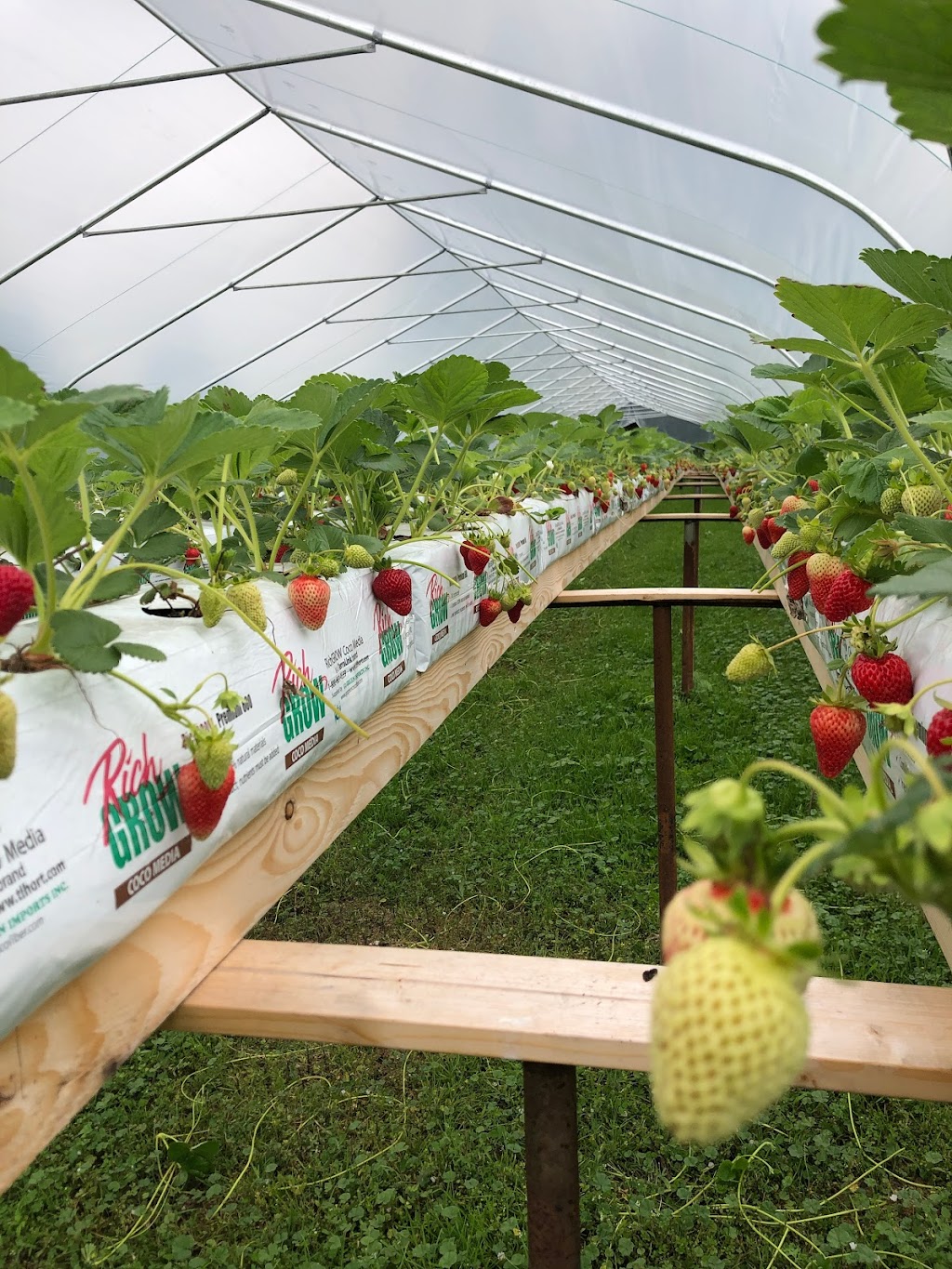 Dove Creek Produce Farm | 3505 Dove Creek Rd, Courtenay, BC V9J 1P3, Canada | Phone: (250) 306-4694