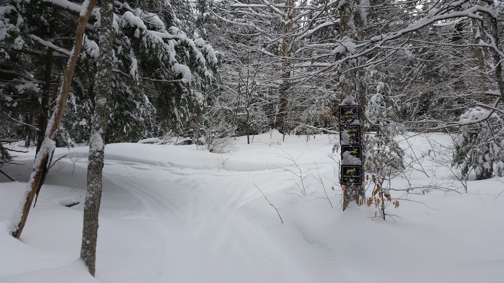 Humphrey Barn & Nature Trails | 115 ON-141, Parry Sound, ON P2A 2W8, Canada | Phone: (705) 732-4313