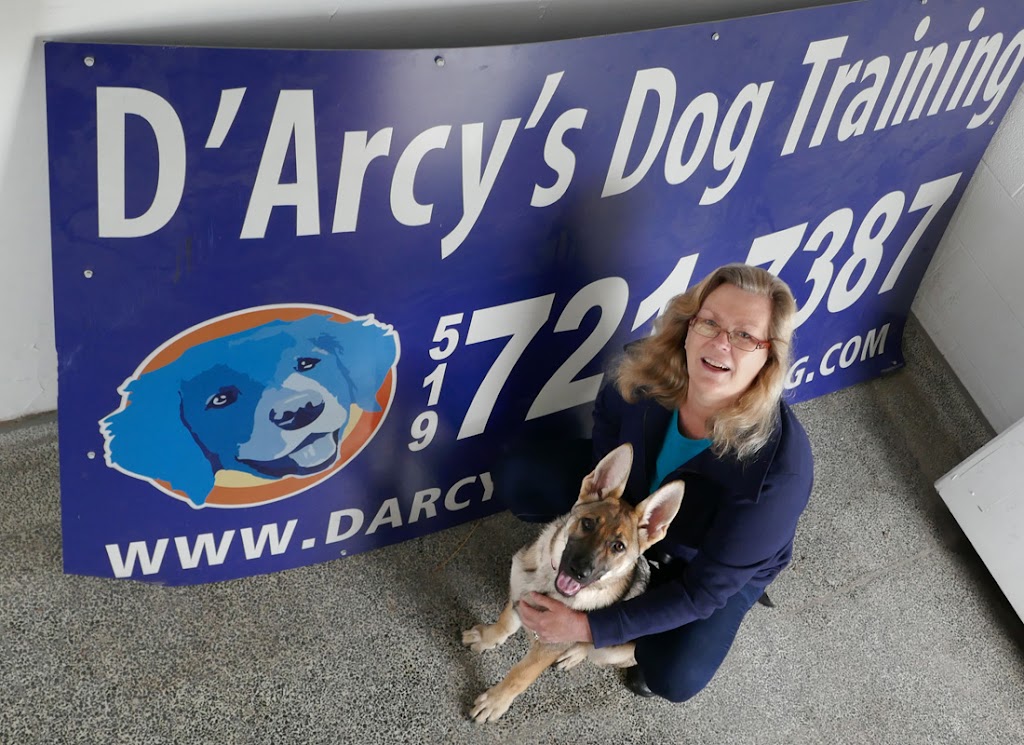 DArcys Dog Training & Pet Services | 471 Dundas St N, Cambridge, ON N1R 5R6, Canada | Phone: (519) 721-7387