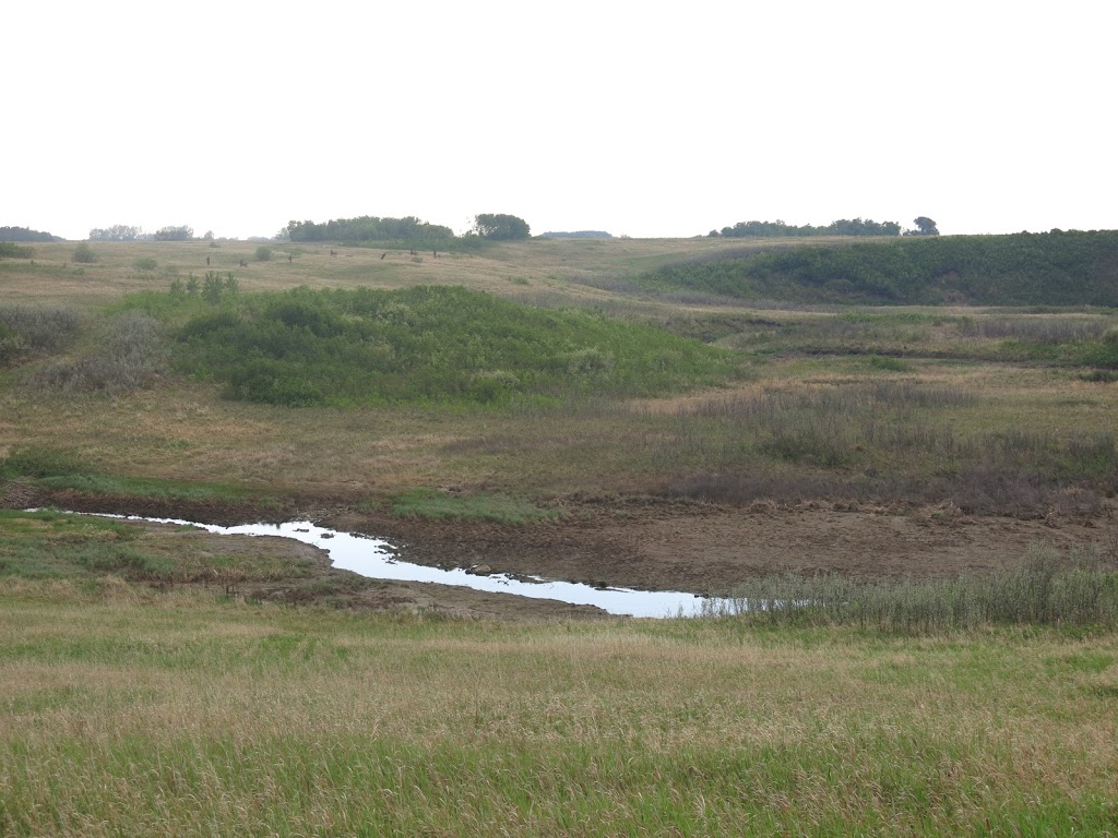 Touronds Coulee | Unnamed Road, 0E0, Alvena, SK S0K 0E0, Canada