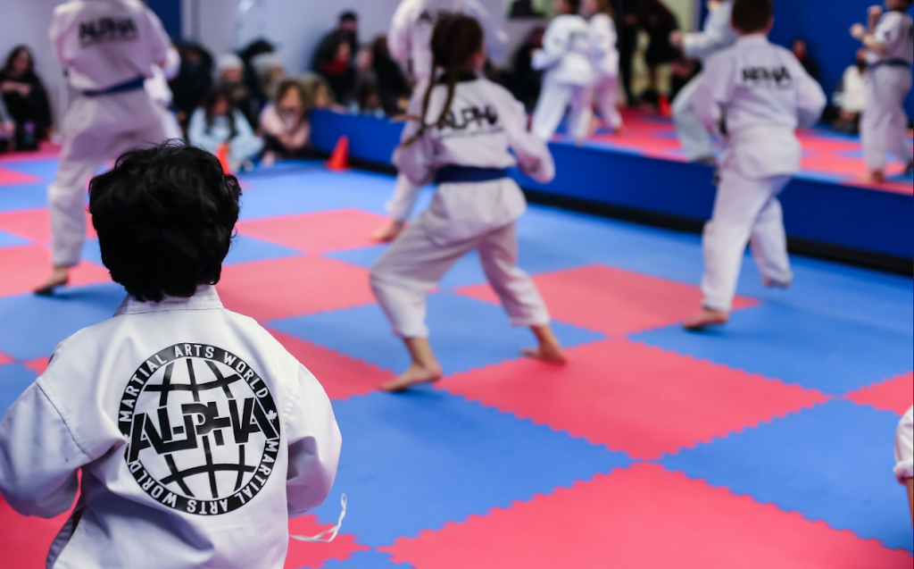 Alpha Martial Arts World | 110 Little Ave, Barrie, ON L4N 4K8, Canada | Phone: (416) 474-3840