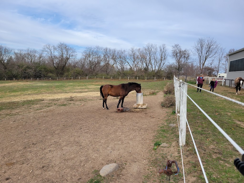 Hebel Equestrian | 629 Sawmill Rd, Bloomingdale, ON N0B 1K0, Canada | Phone: (519) 500-3394