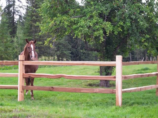 SplitRailFence.ca | 32905 King Rd, Abbotsford, BC V2S 7Z8, Canada | Phone: (604) 870-4900