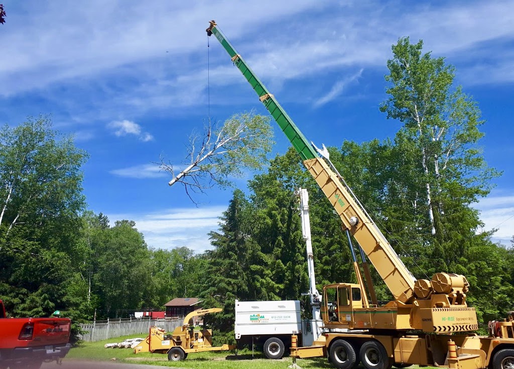 Dagenais Tree Service Ltd | 215 Paul Martin Dr, Pembroke, ON K8A 6W4, Canada | Phone: (613) 732-2426