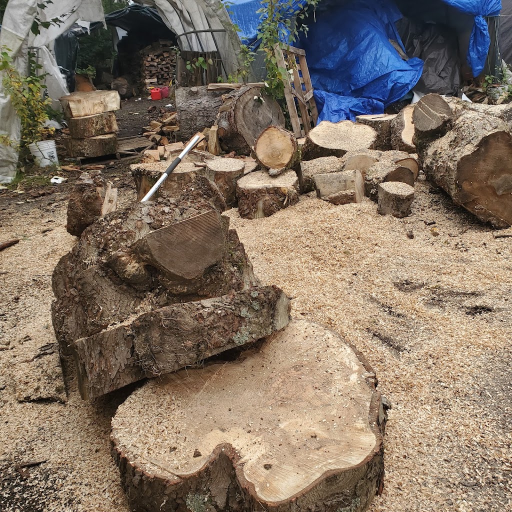 Less firewood | 32061 7th Ave, Mission, BC V2V 3E1, Canada | Phone: (604) 789-1492