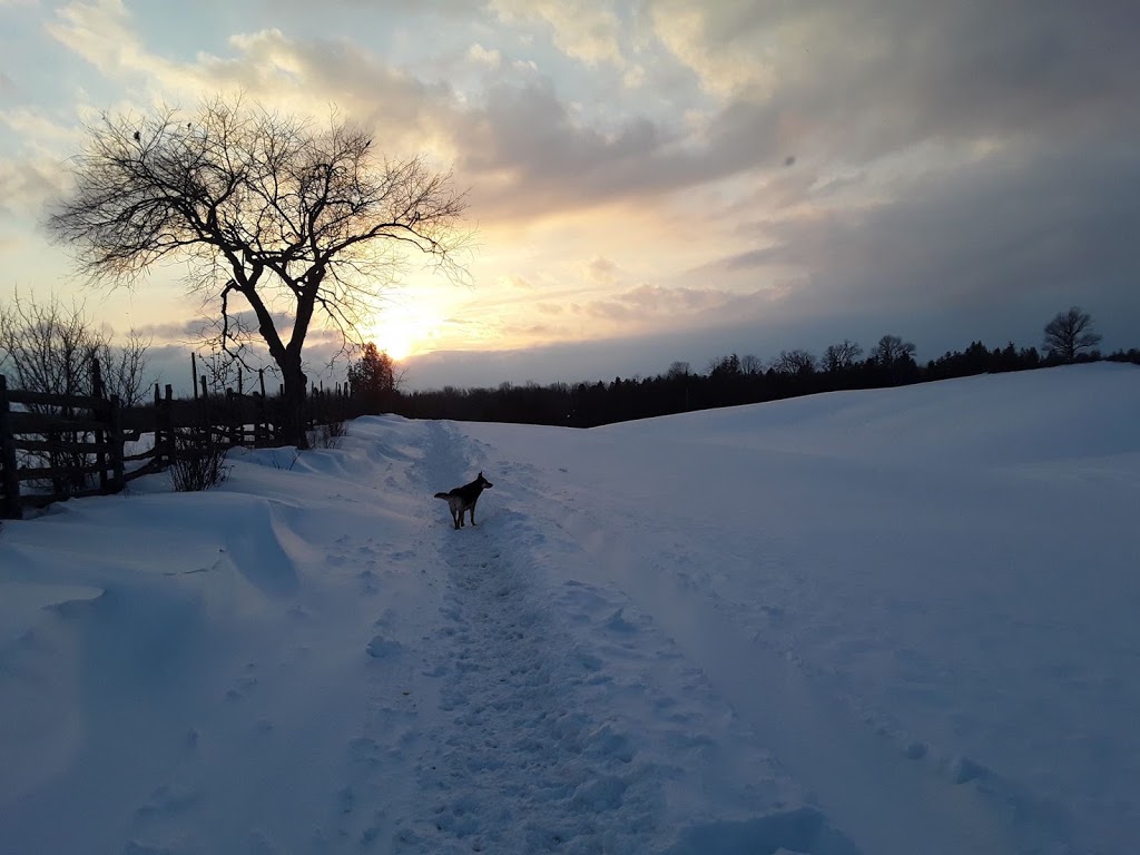 OBrienview Organic Farm | 688 Country Ln, Cameron, ON K0M 1G0, Canada | Phone: (705) 887-3974