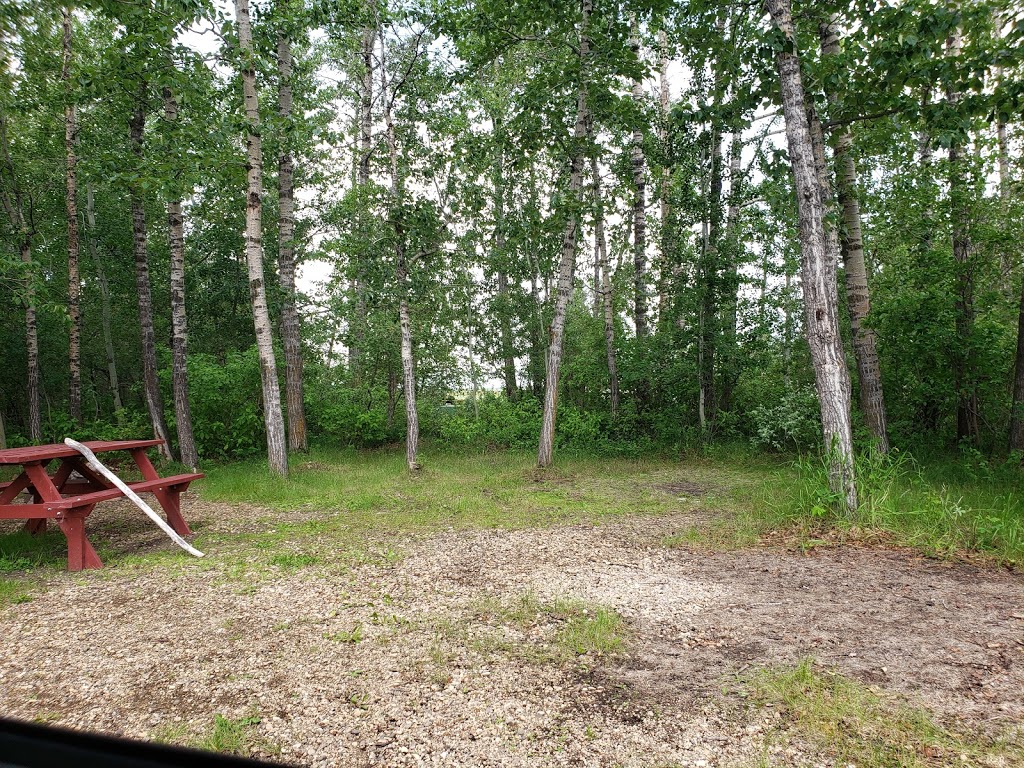 Johnsons Beach Campground | Range Rd 221, Ferintosh, AB T0B 1M0, Canada | Phone: (780) 372-3884