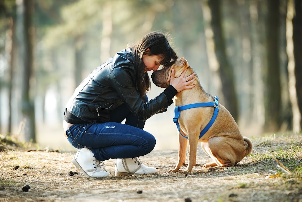 Faithful Friends Pet Memorial Services | 3636 Claxton Pl SW, Edmonton, AB T6W 2K8, Canada | Phone: (780) 707-6599