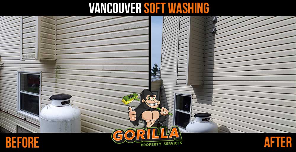 Gorilla Property Services | 8623 Granville St Suite 122, Vancouver, BC V6P 5A2, Canada | Phone: (604) 332-2090