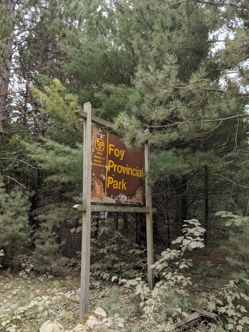 Foy Provincial Park | Red Rock Rd, Killaloe, ON K0J 2A0, Canada | Phone: (613) 757-2103