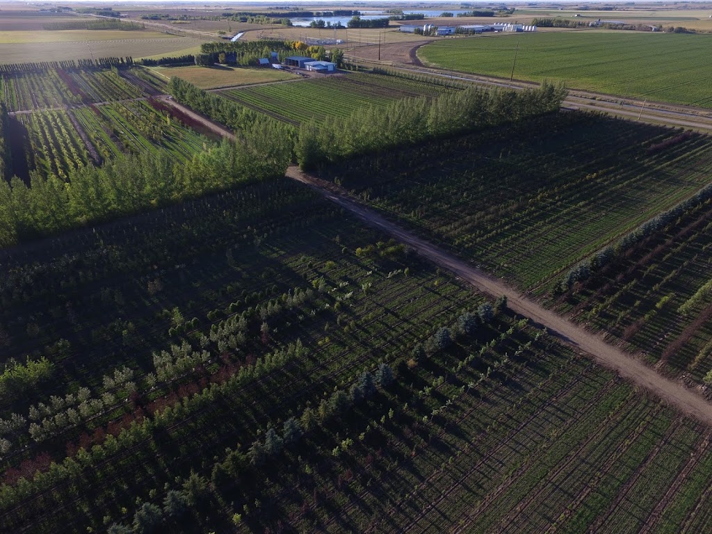 Simon Bos Nurseries LTD | 195077 TWP 102, Coaldale, AB T1M 1M9, Canada | Phone: (403) 330-8010