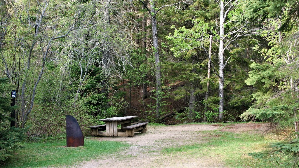 Camping Mont-Sainte-Anne | 300 Rang Saint Julien, Saint-Ferréol-les-Neiges, QC G0A 3R0, Canada | Phone: (418) 826-2323