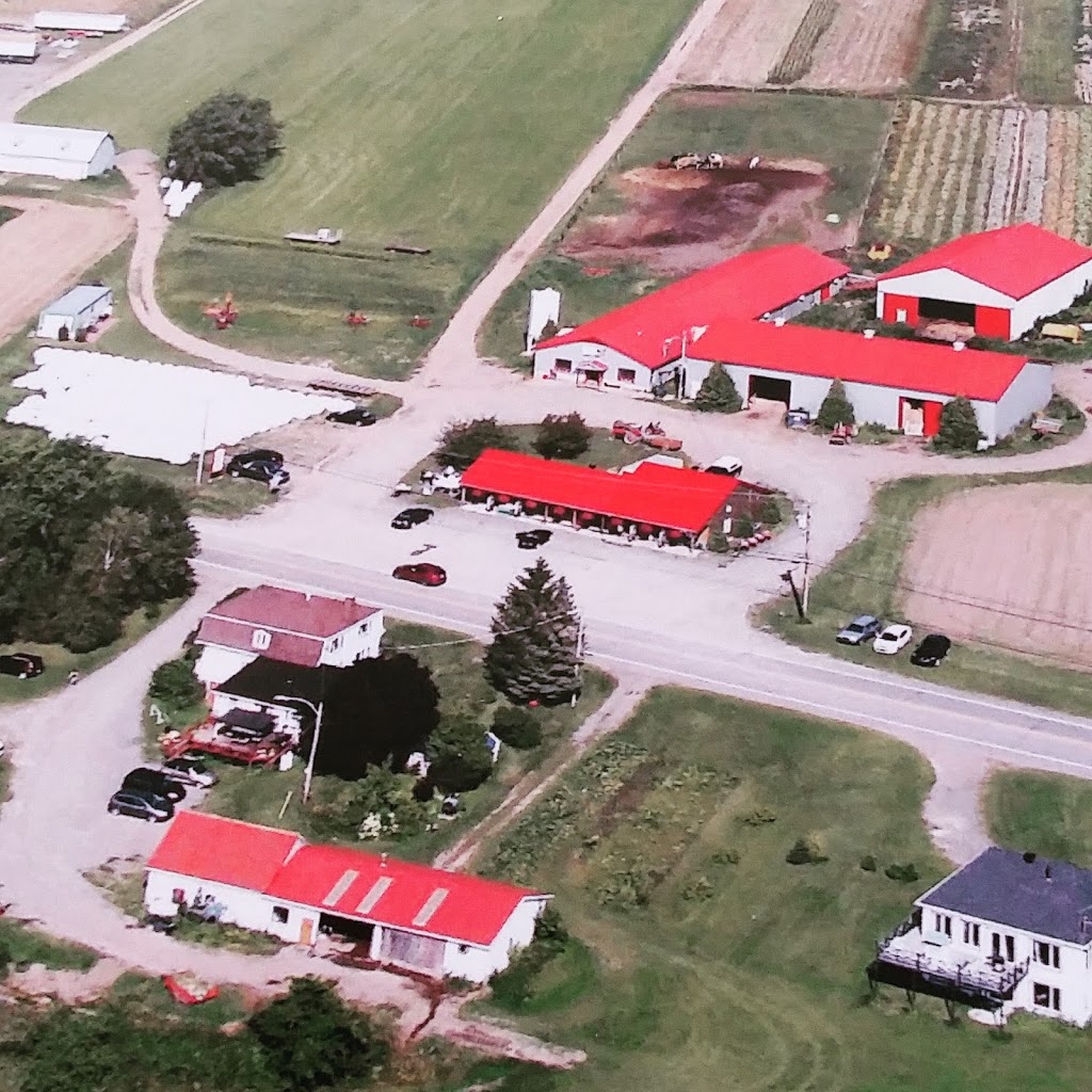 Ferme Langlois et Fils (Chez Médé) | 1087 QC-138, Neuville, QC G0A 2R0, Canada | Phone: (418) 909-0729