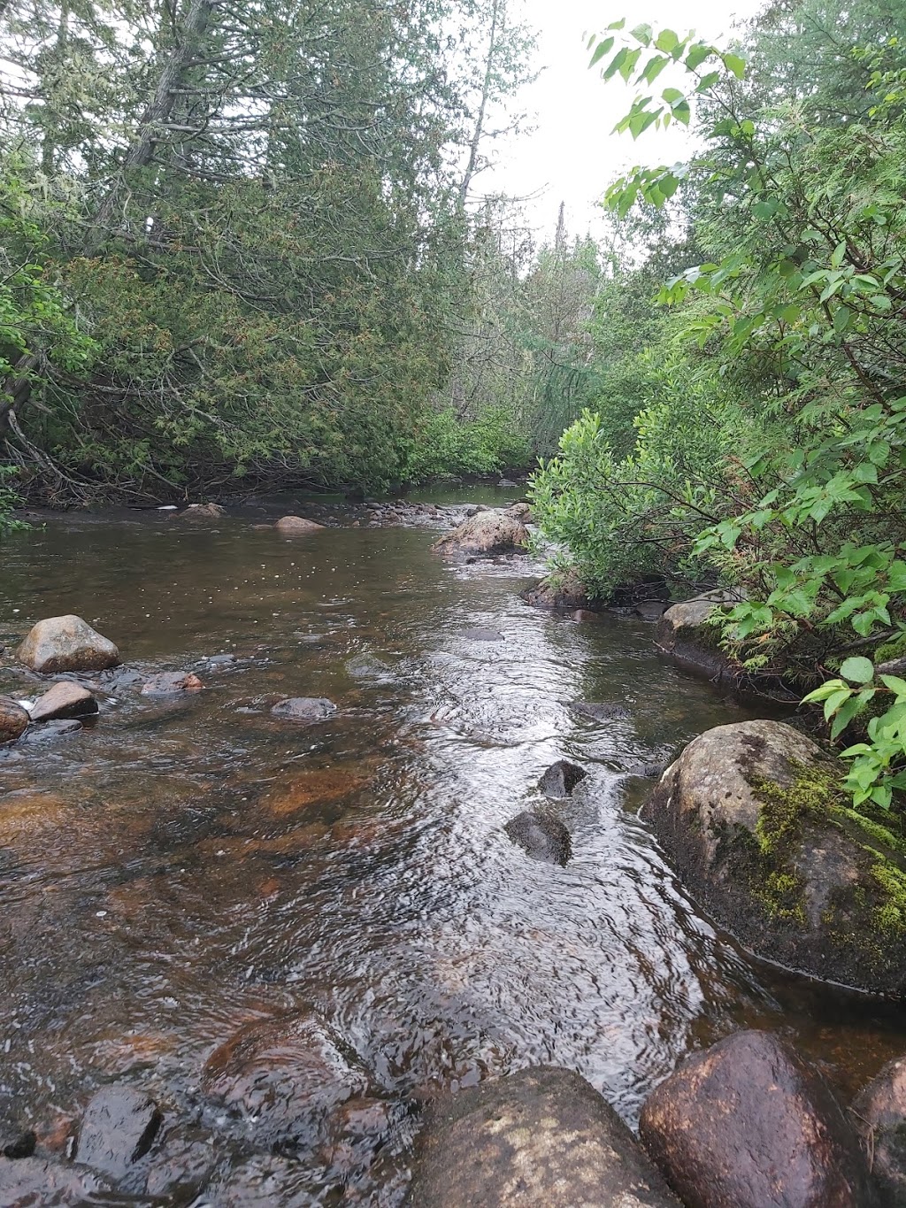 Refuge de la marmotte | 135 Rang Saint François, Saint-Urbain, QC G0A 4K0, Canada | Phone: (418) 639-2284